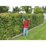 EINHELL Akku-Multifunktions-Werkzeug GE-HC 18Li T Kit, 18 Volt, Hochentaster rot, Li-Ion-Akku 3,0Ah
